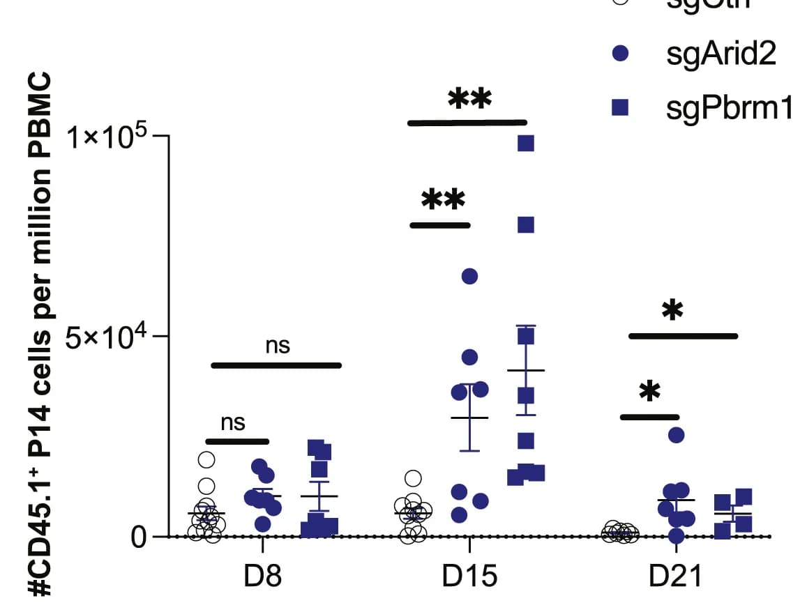 Open access visualization of Scatter Plot, Error Bars, PBMCs, Frequency, CD45.1+ Cells