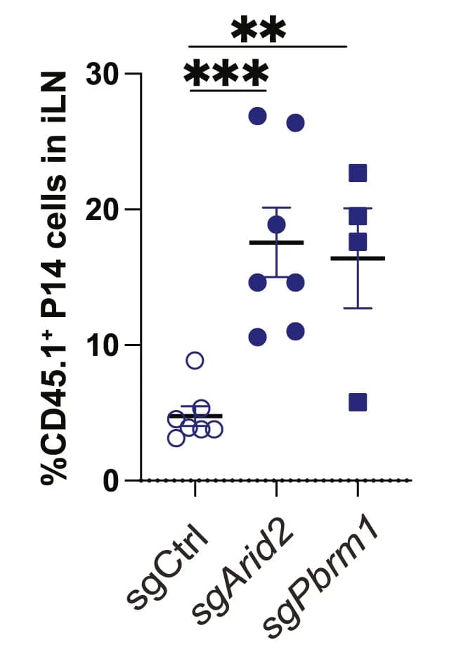 Open access visualization of Scatter Plot, Error Bars, Lymph Nodes, Spleen, Frequency