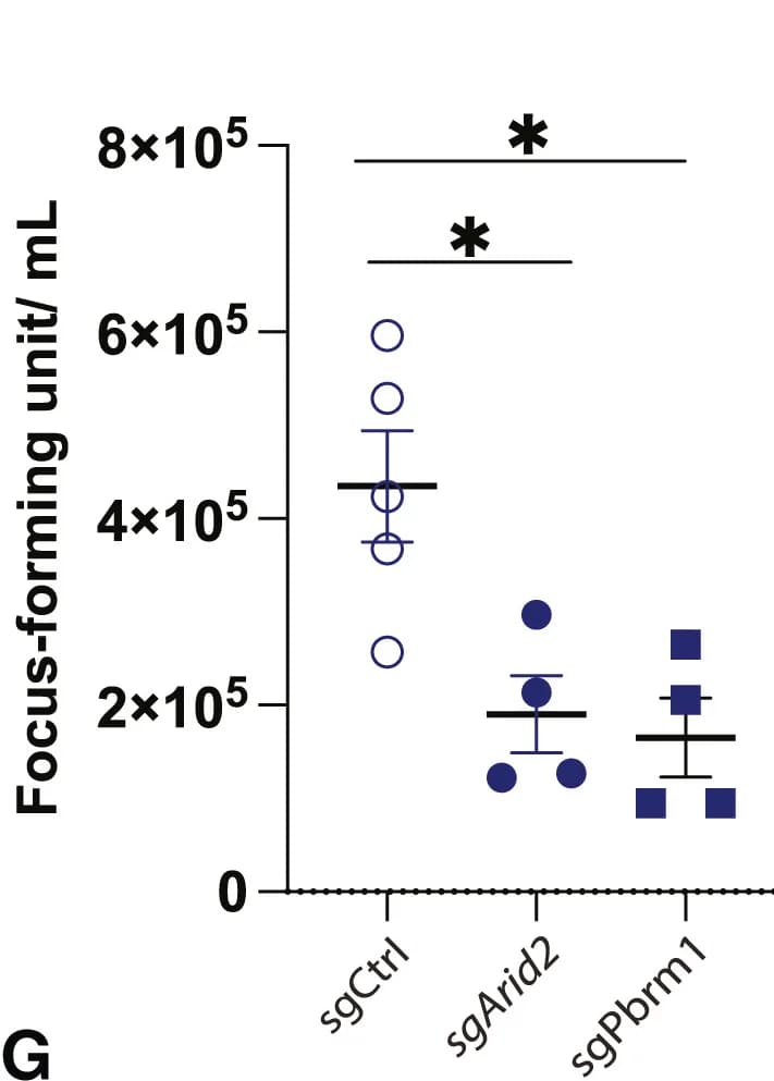 Open access visualization of Scatter Plot, Error Bars, Viral Load, Sera, Mice
