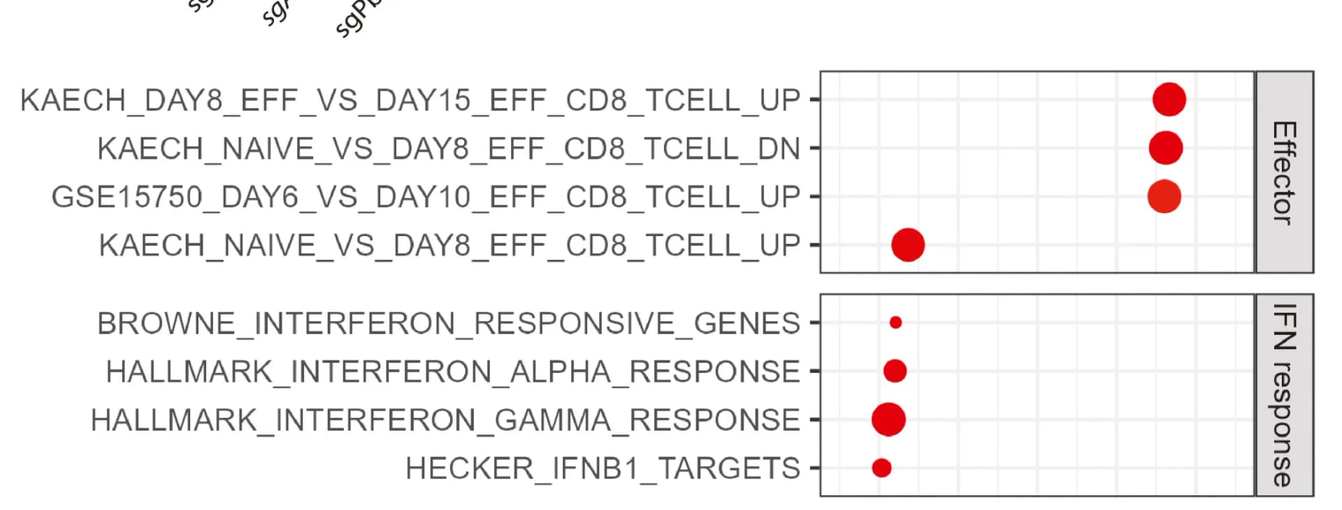 Open access visualization of Bubble Plot, Bulk RNA-seq, GSEA Results, Pathways, Pbrm1