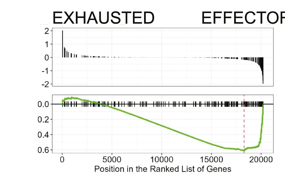 Open access visualization of Line Plot, Bar Plot, Enrichment Plots, Gene Sets, GSEA