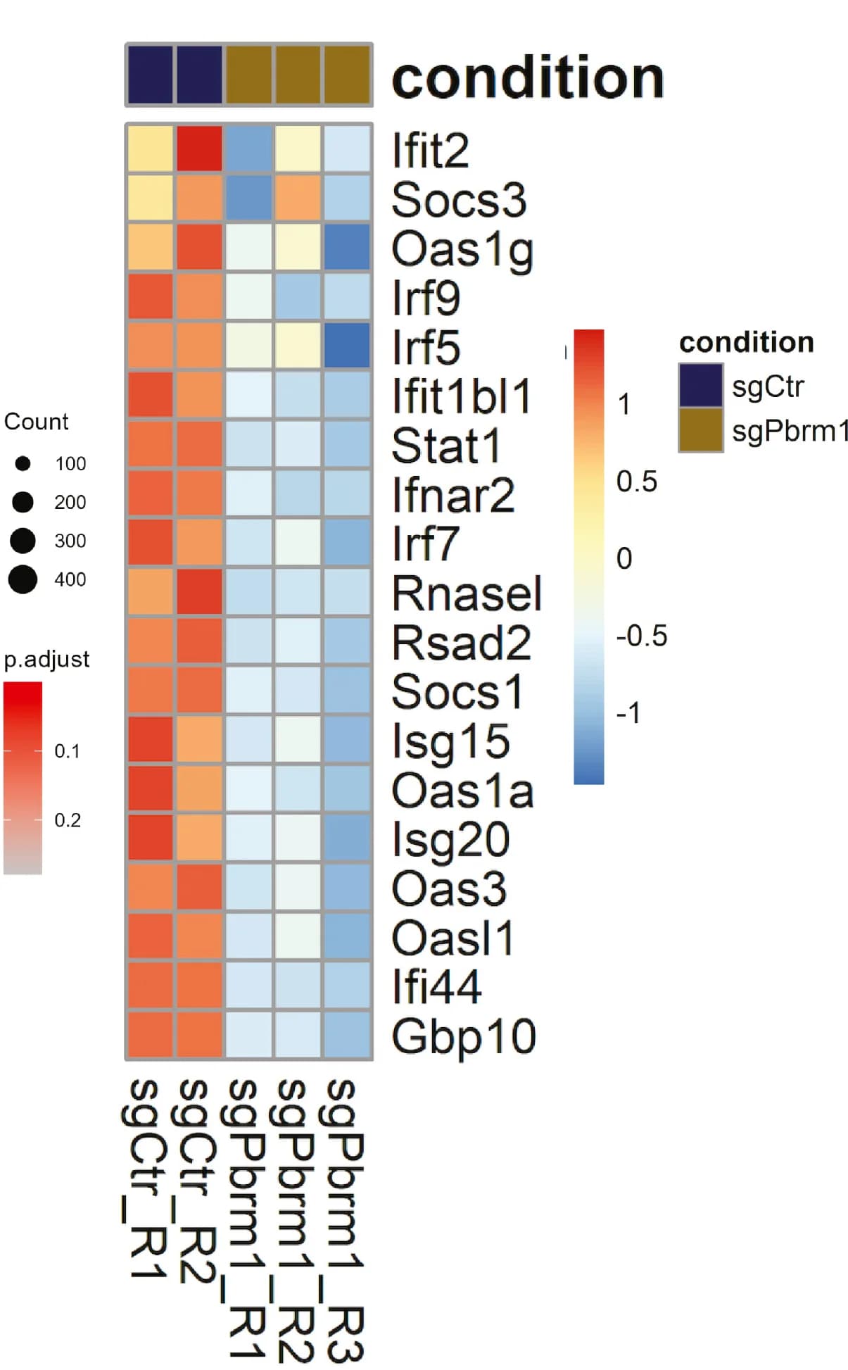 Open access visualization of Heatmap, IFN Pathway, Genes, Differential Expression, Control