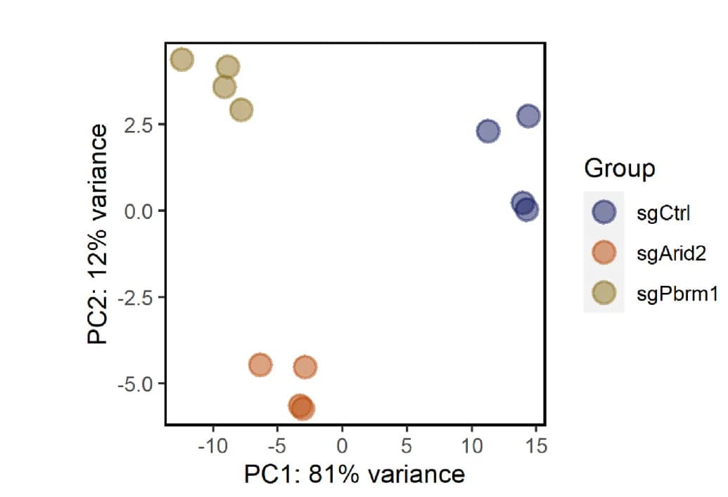 Open access visualization of Scatter Plot, PCA, Bubble Plot, PCA Plot, Chromatin Accessibility