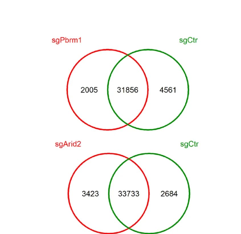 Open access visualization of Venn Diagram, Venn Plots, Chromatin-Accessible Regions, Occupancy Analysis
