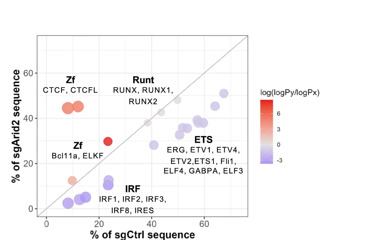 Open access visualization of Scatter Plot, Bubble Plot, Motifs, sgArid2, sgCtrl