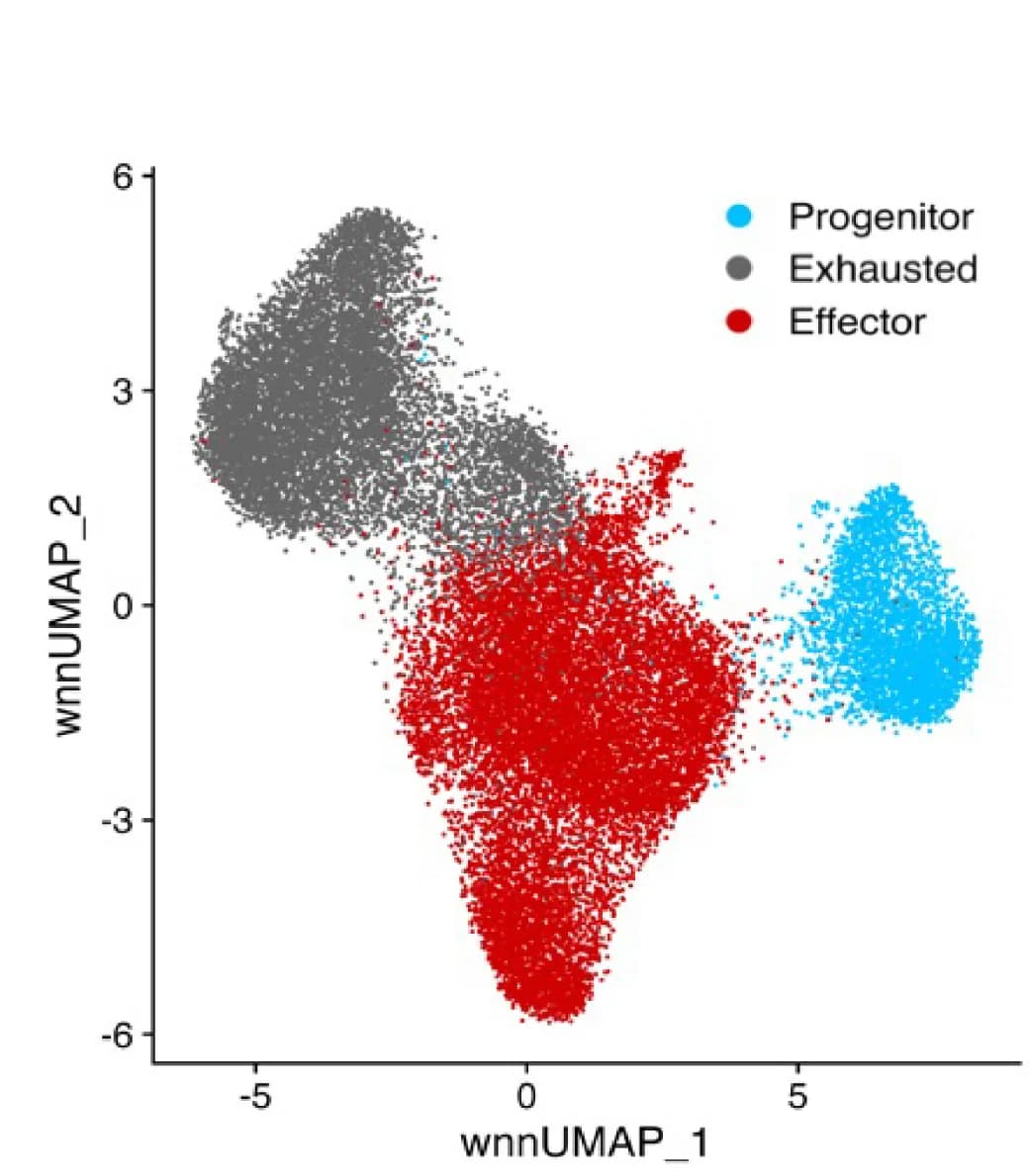 Open access visualization of Scatter Plot, UMAP, wnnUMAP Plot, Splenic GP33+CD8+T Cells, LCMV Cl13