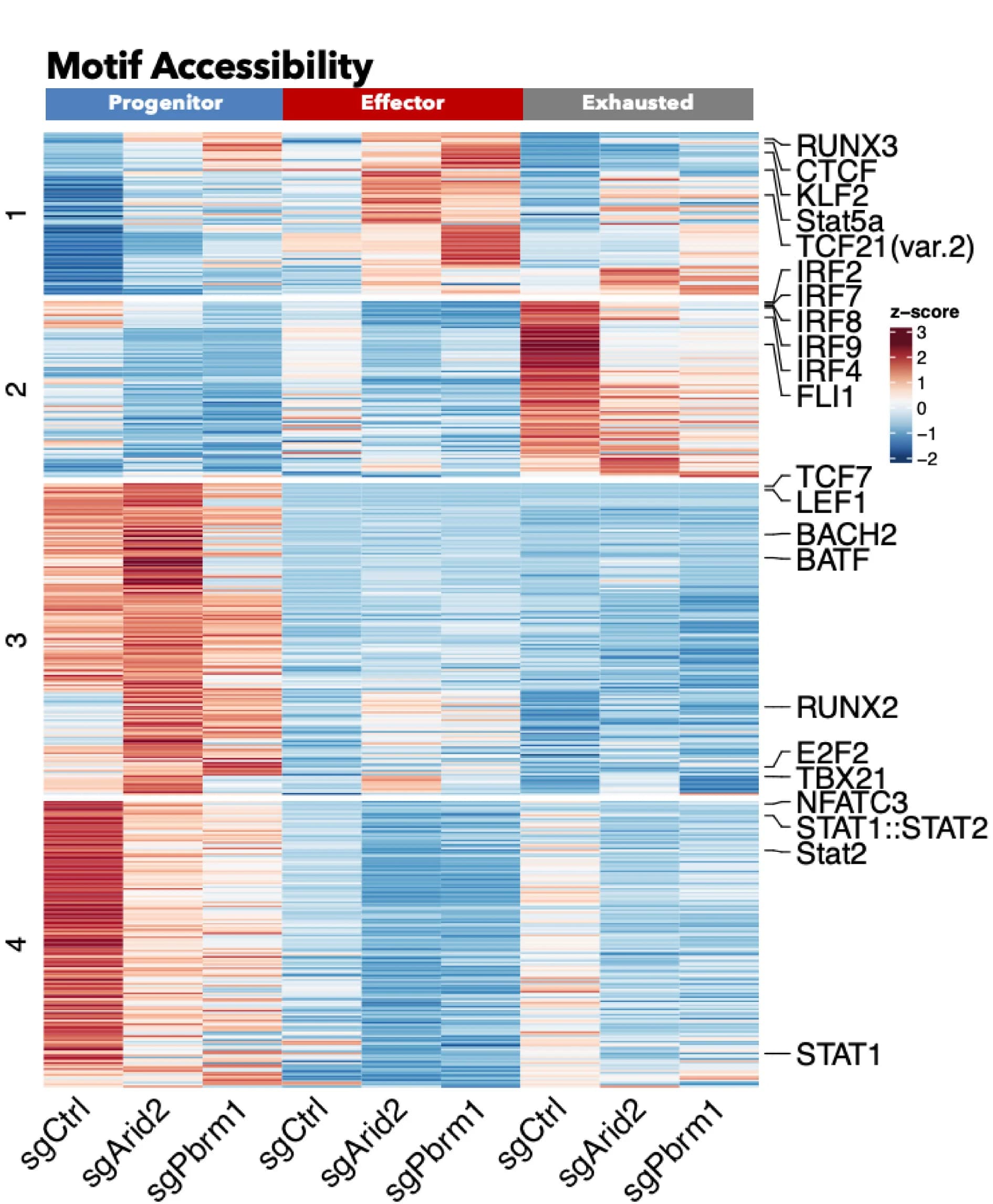 Open access visualization of Heatmap, TF Motifs, sgCtrl, sgArid2, sgPbrm1