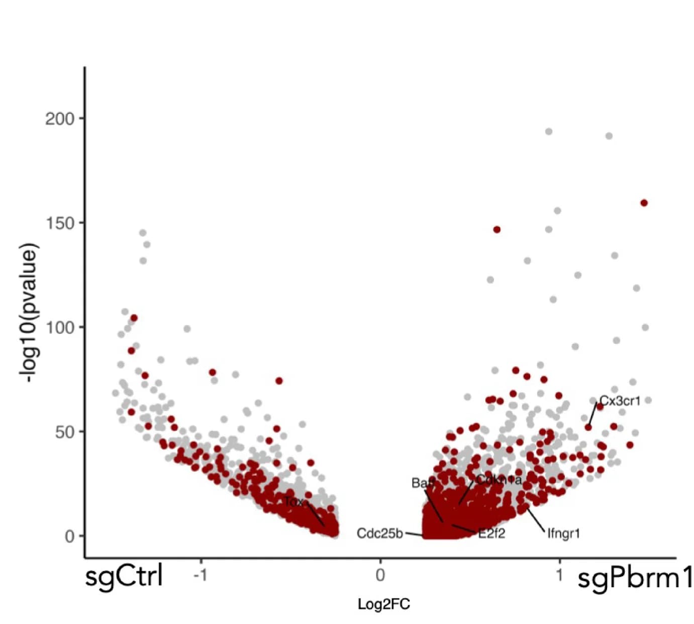 Open access visualization of Volcano Plot, Scatter Plot, Differentially Accessible Peaks, CTCF Motif, sgArid2