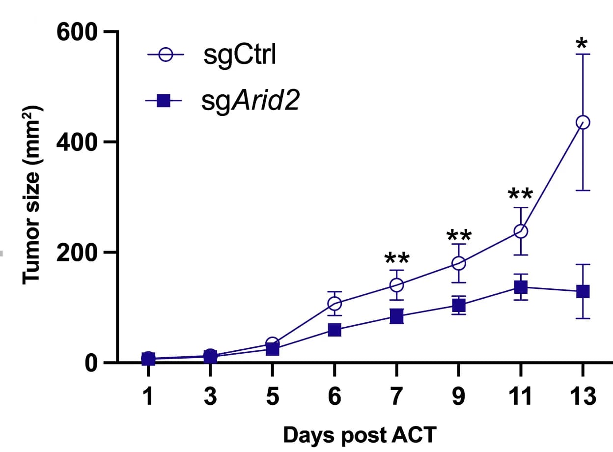 Open access visualization of Line Plot, Error Bars, Tumor Growth Curves, sgCtrl Transduced Cells, sgArid2 Transduced Cells