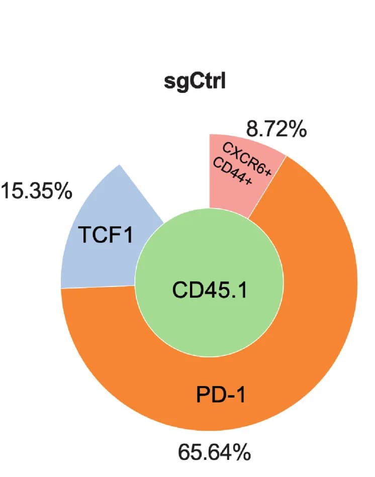 Open access visualization of Donut Chart, Population Frequency, Population Sunburst