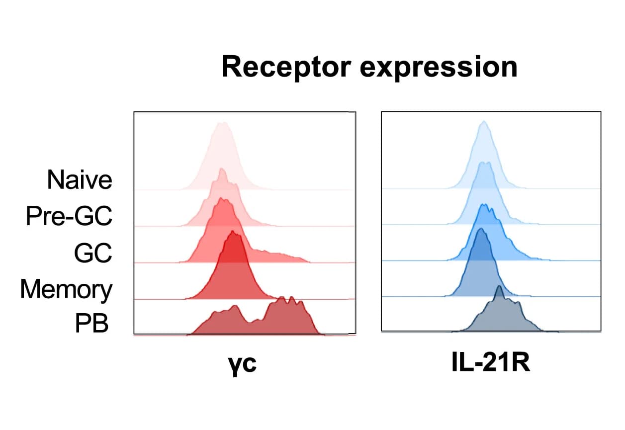 Open access visualization of Density Plot, Ridge Plot, γc, IL-21R, Naive B Cells