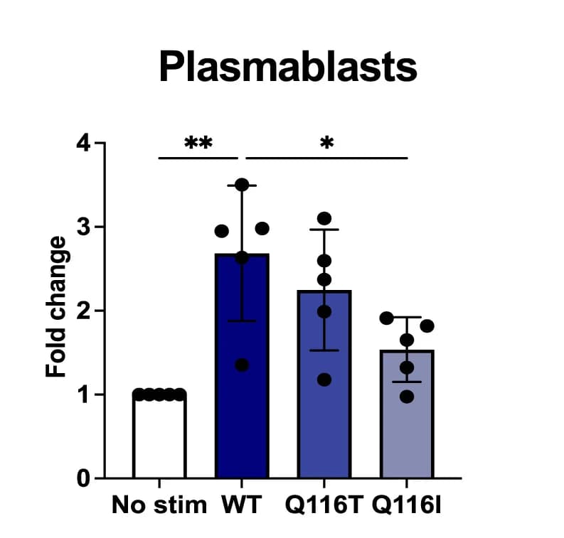 Open access visualization of Bar Plot, Error Bars, Scatter Plot, Plasmablasts, Tonsil Organoids