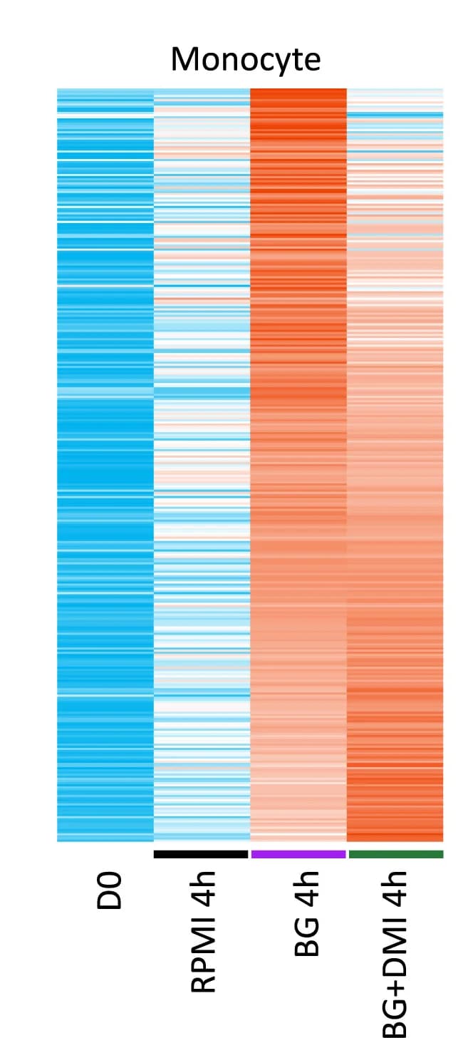 Open access visualization of Heatmap, Differentially Expressed Genes, Beta-glucan, DMI, Stimulation