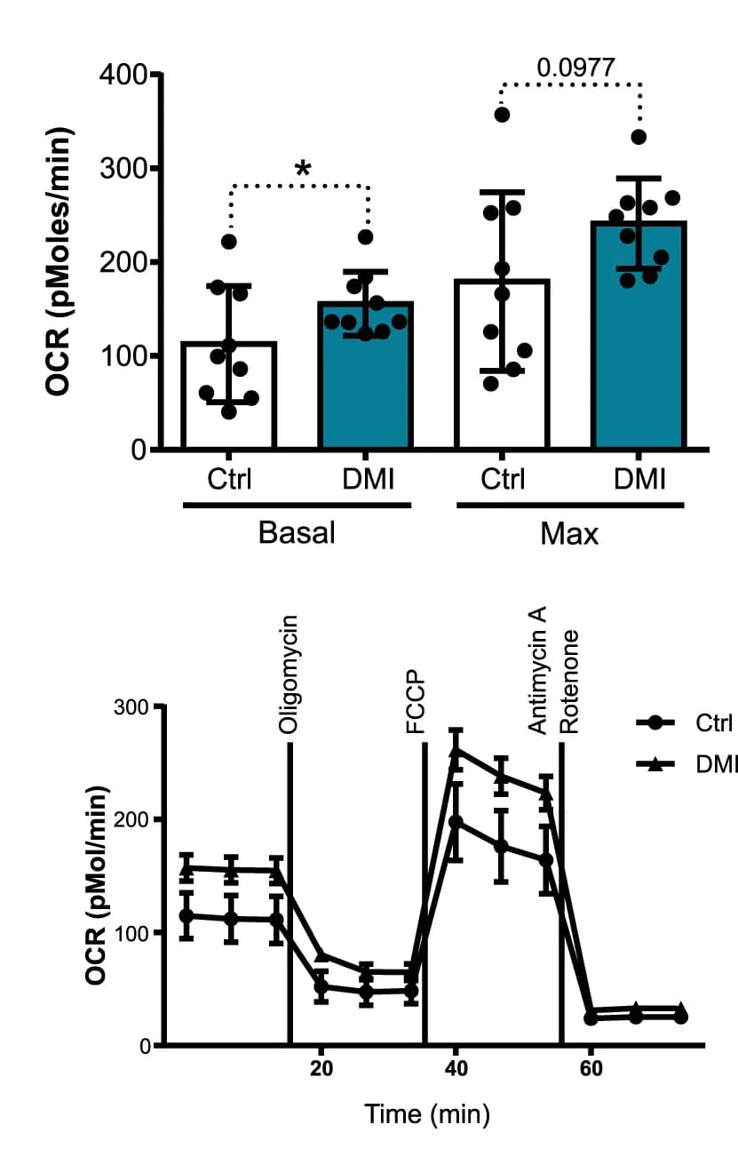 Open access visualization of Bar Plot, Error Bars, Line Plot, Oxygen Consumption Rate, DMI-Mf
