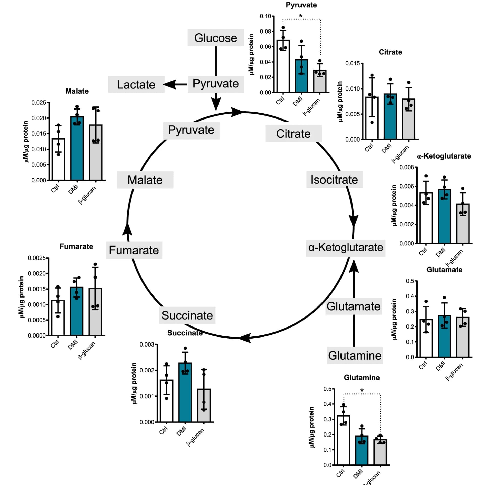 Open access visualization of Bar Plot, Error Bars, Workflow, TCA Cycle Intermediates, DMI-Mfs