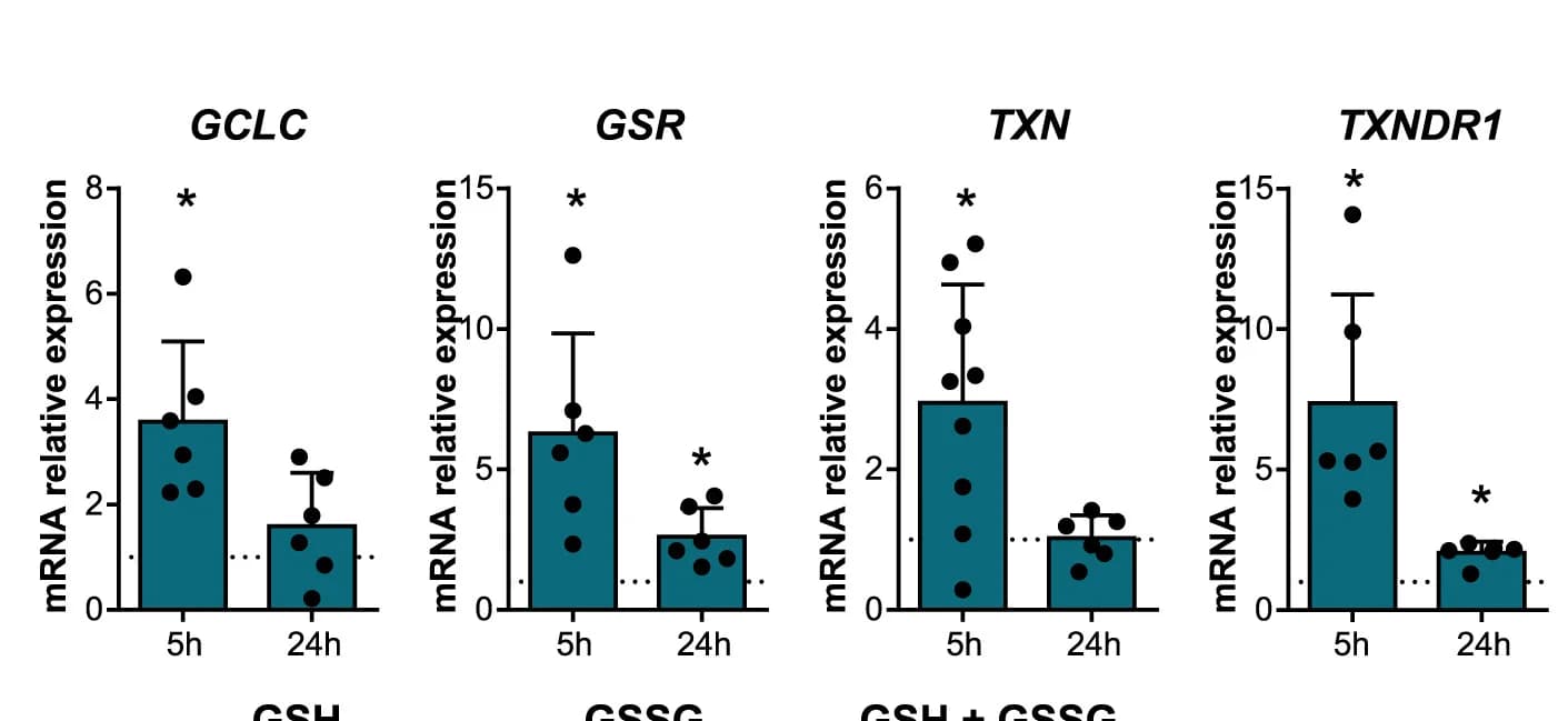 Open access visualization of Bar Plot, Error Bars, Scatter Plot, GCLC, GSR