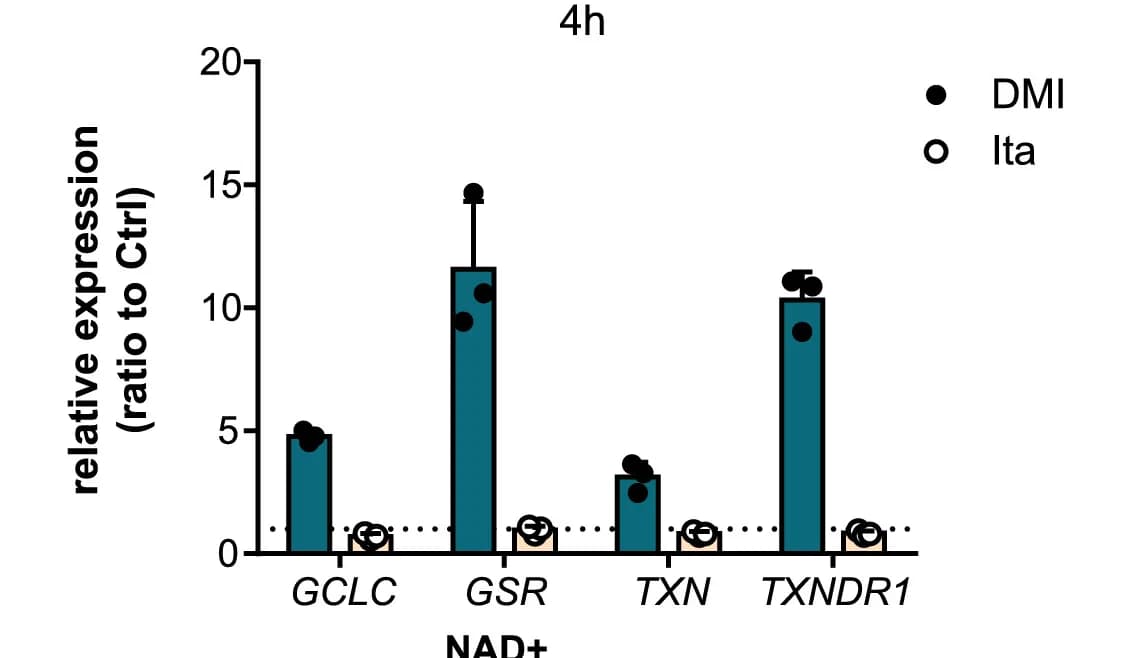 Open access visualization of Bar Plot, Error Bars, Scatter Plot, GCLC, GSR