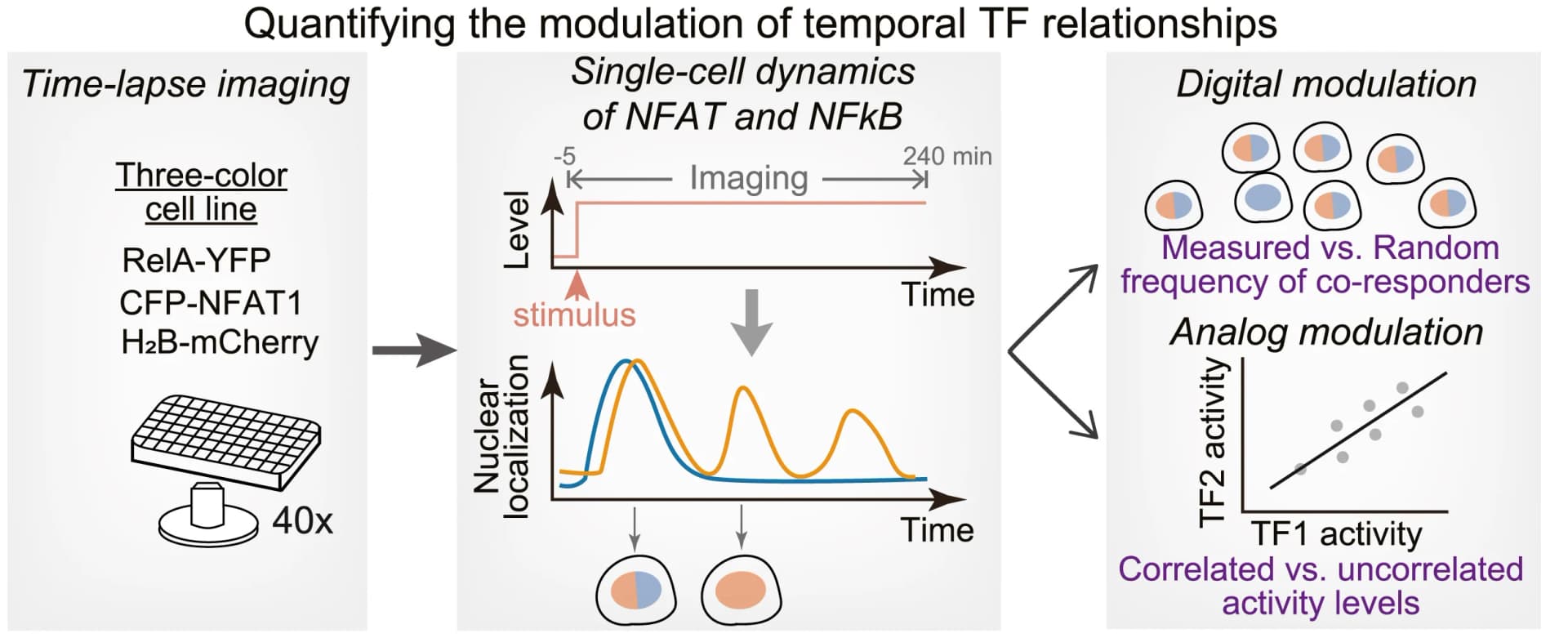 Open access visualization of Workflow, Line Plot, Scatter Plot, Illustration, TF Relationships