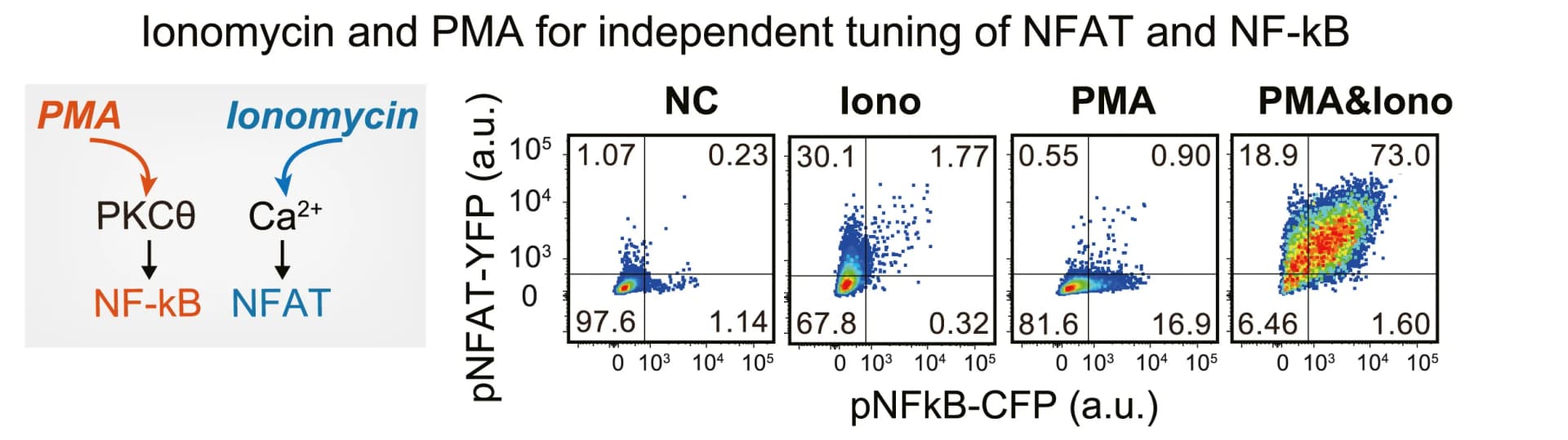 Open access visualization of Scatter Plot, Workflow, PMA, Ionomycin, TCR Activation