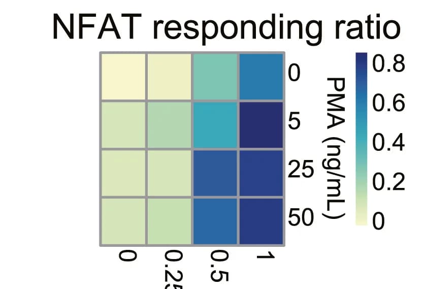 Open access visualization of Heatmap, Activation Ratio, PMA, Ionomycin