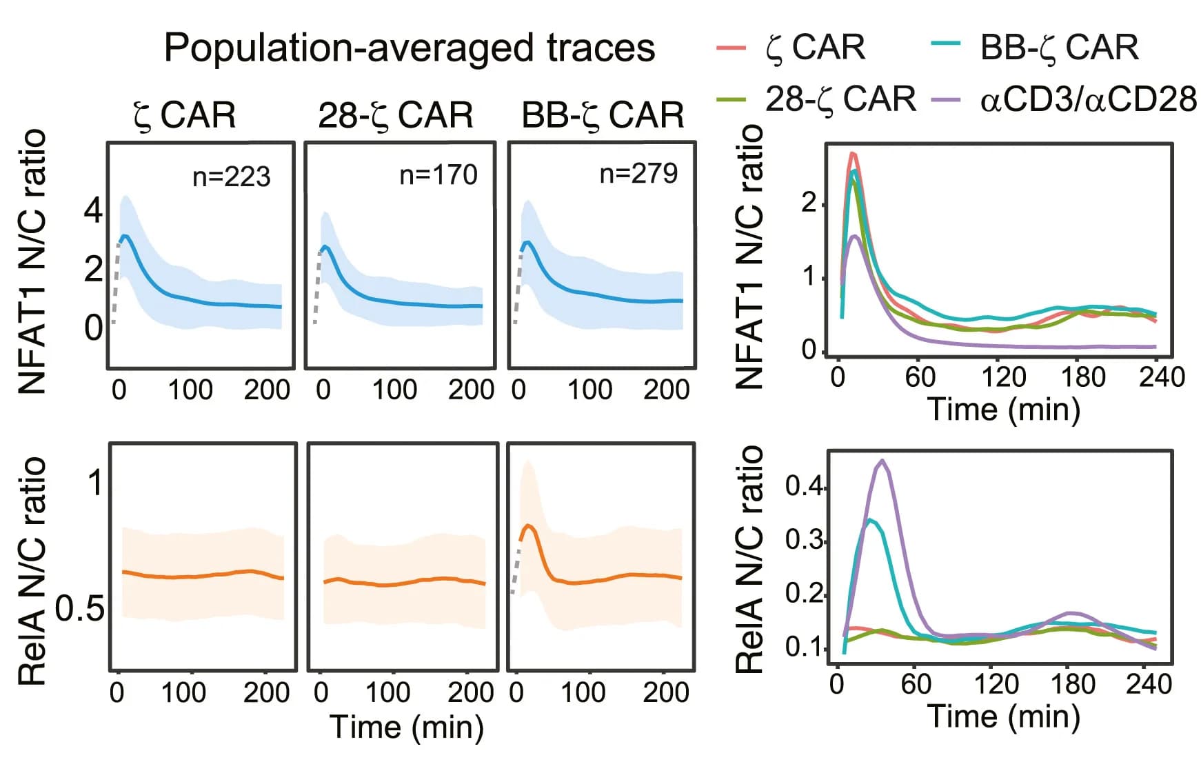 Open access visualization of Line Plot, Error Bars, Nuclear Translocation Dynamics, NFAT, NF-κB
