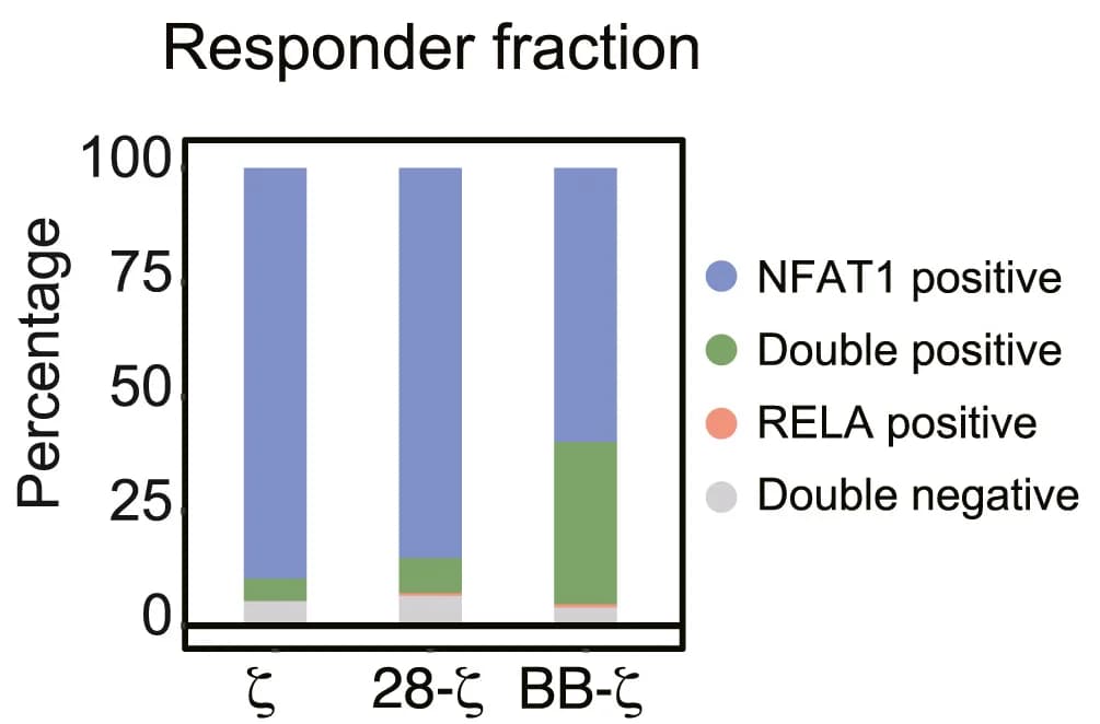 Open access visualization of Stacked Bar Plot, Activation Ratios, CAR-T Cell Line