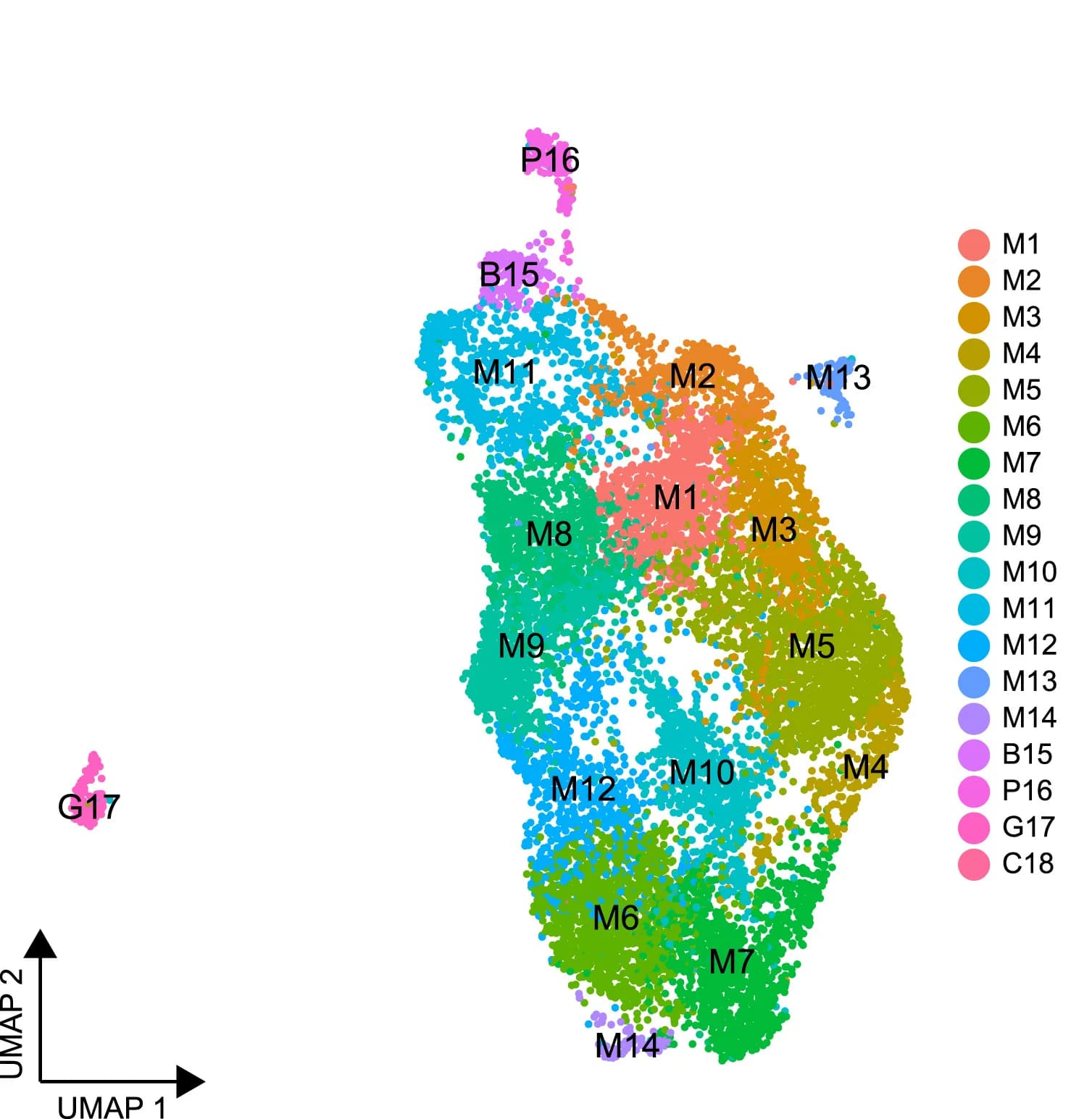 Open access visualization of Scatter Plot, UMAP, Single-Cell, PstDC3000, Mock-treated Samples