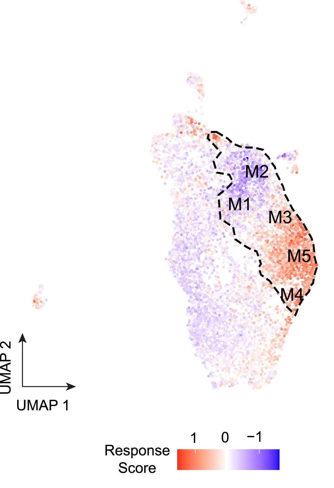 Open access visualization of UMAP, UMAP Plot, Pathogen Infection, Immune Response, Susceptibility