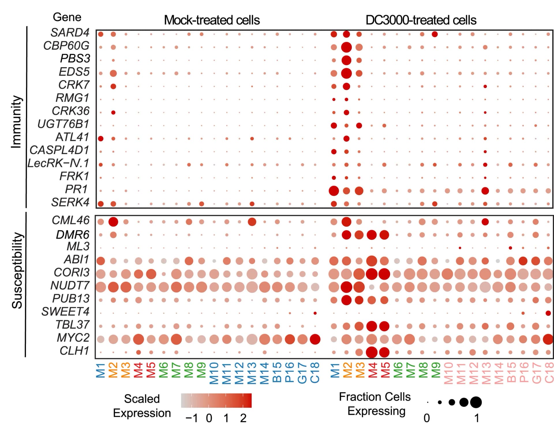Open access visualization of Bubble Plot, Dot Plot, Gene Expression, Plant Immunity, Susceptibility