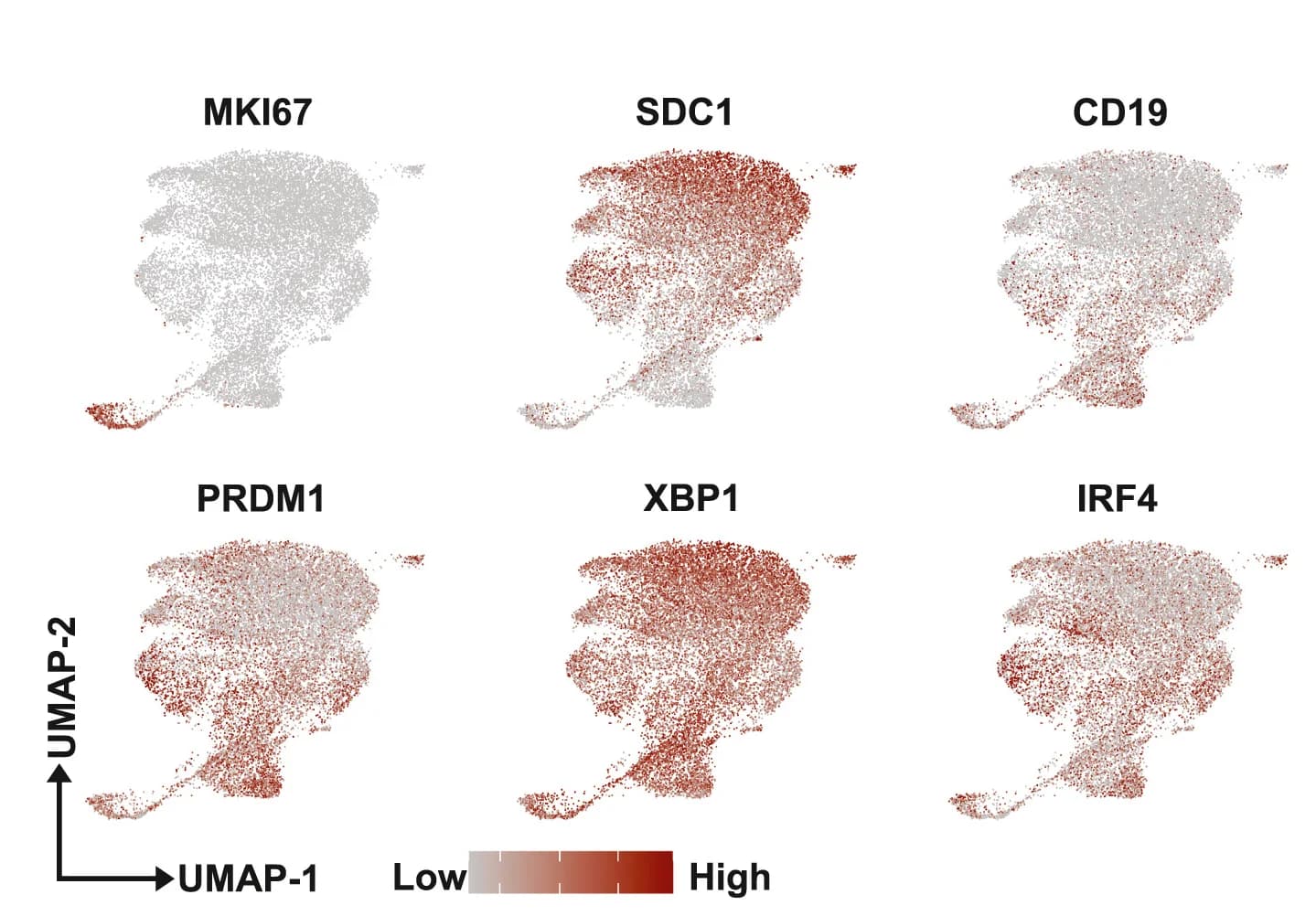 Open access visualization of UMAP, Scatter Plot, Gene Expression, Plasma Cell, Master Genes
