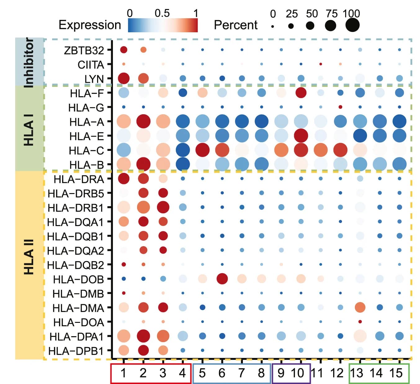 Open access visualization of Bubble Plot, Heatmap, Dot Plot, Gene Expression, MHC Class I