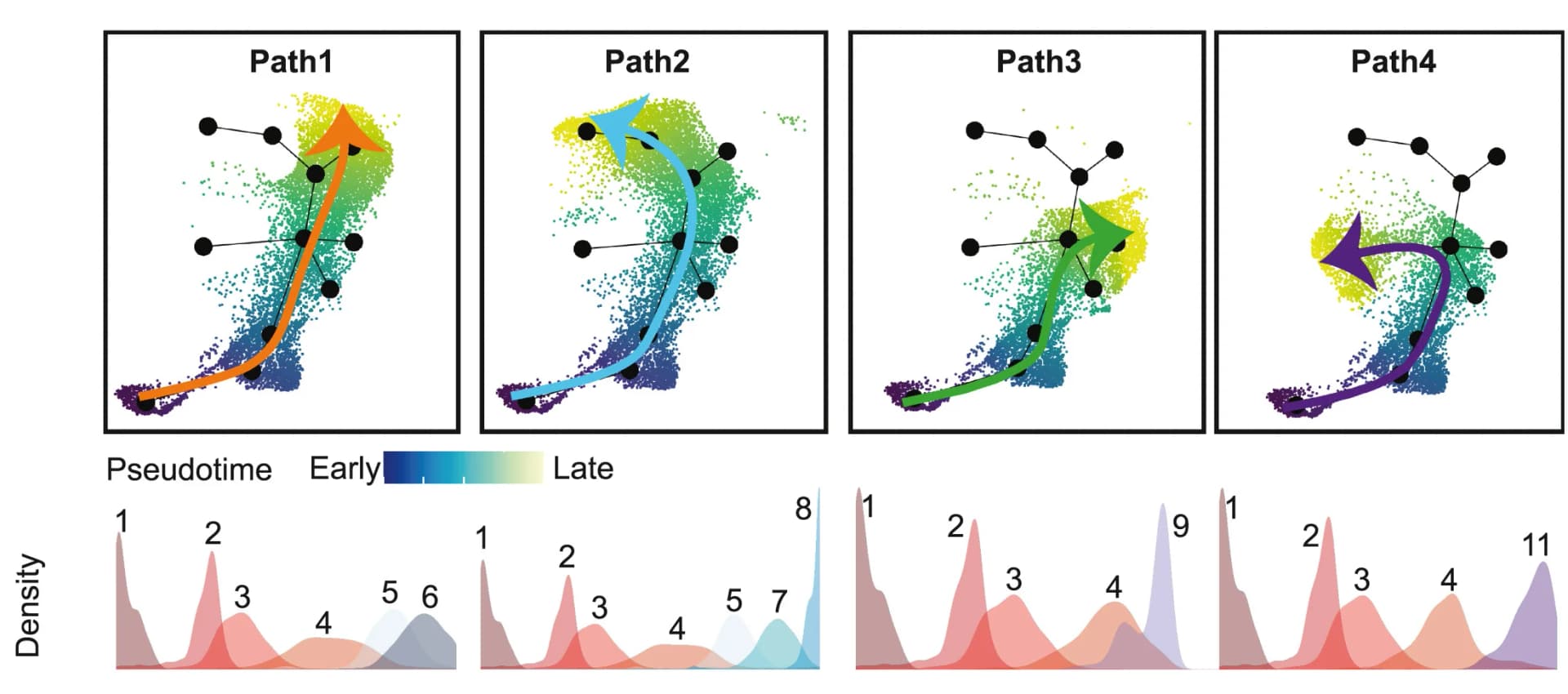 Open access visualization of Scatter Plot, Network, Line Plot, Density Plot, UMAP