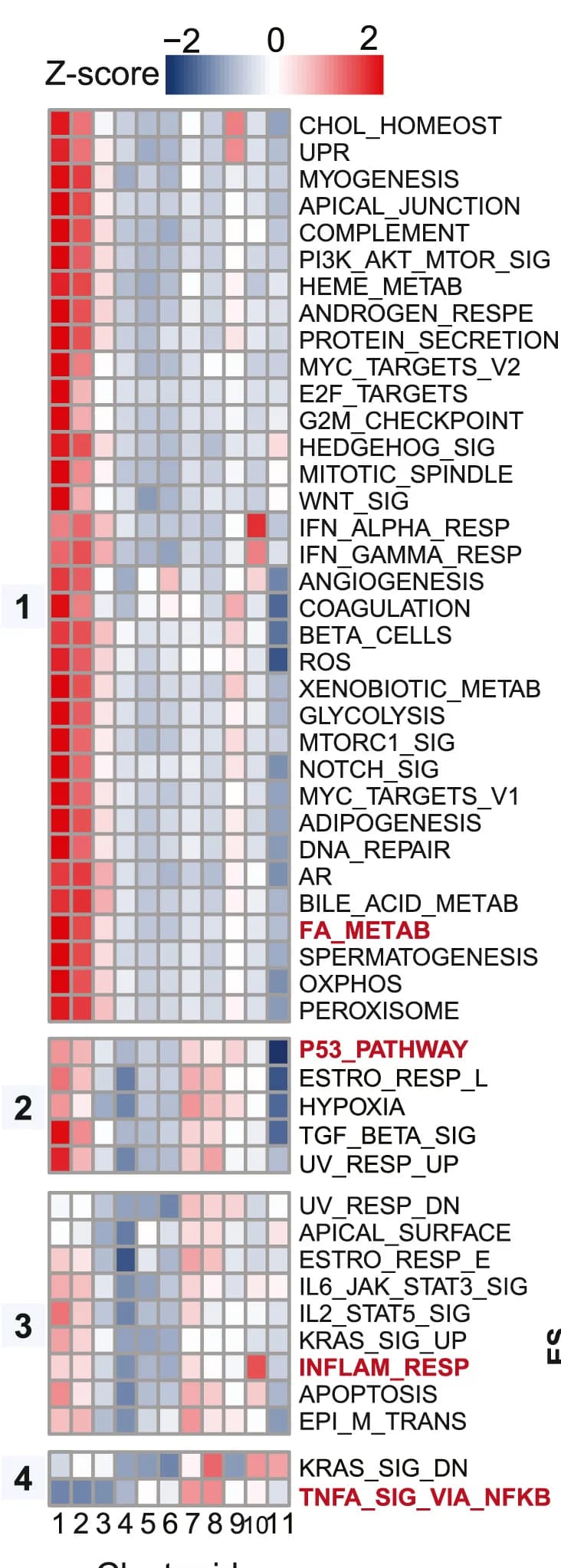 Open access visualization of Heatmap, Clustered, Enrichment Scores, Hallmark Pathway, IgG1