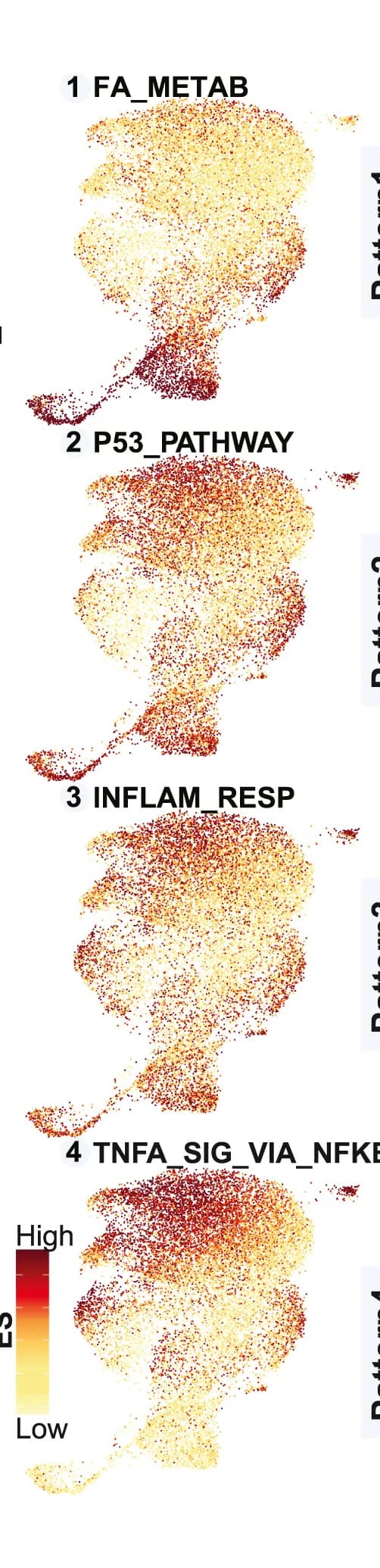 Open access visualization of Scatter Plot, UMAP, Enrichment Scores, Pathway