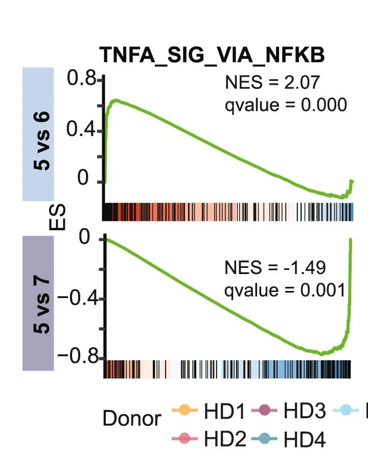 Open access visualization of Line Plot, GSEA, Pathways, TNFalpha signaling, NF-kB