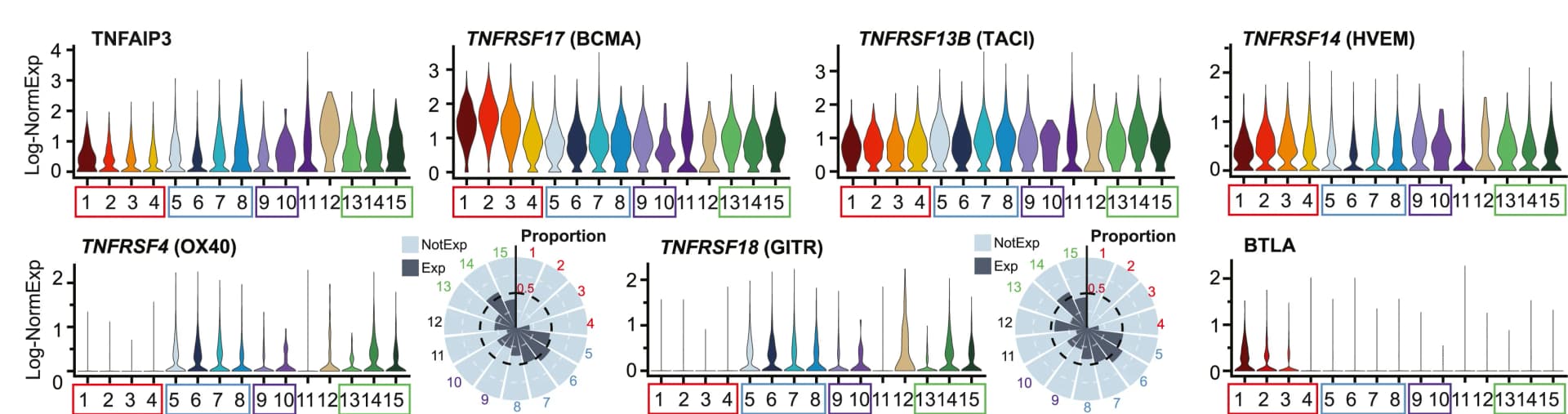 Open access visualization of Violin Plot, Radar Chart, Gene Expression, TNF Family, Cell Clusters