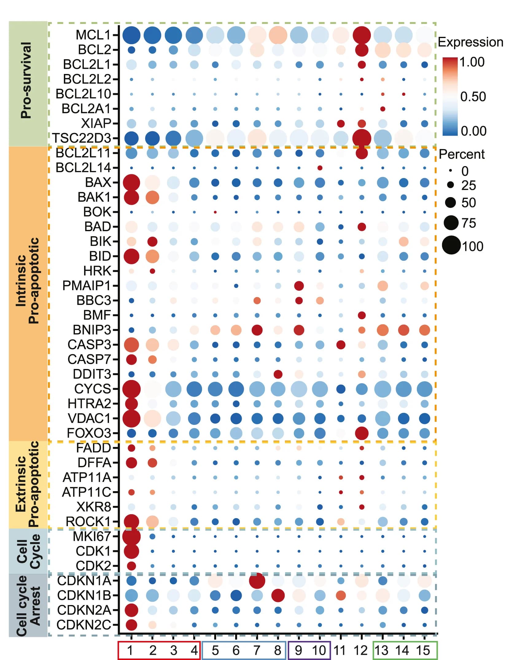 Open access visualization of Bubble Plot, Dot Plot, Gene Expression, Pro-survival, Pro-apoptotic