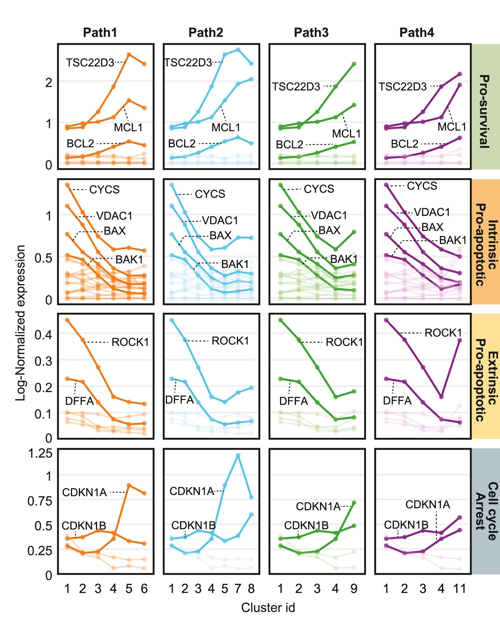 Open access visualization of Line Plot, Dynamic Gene Expression, Maturation Paths, BMPC Maturation