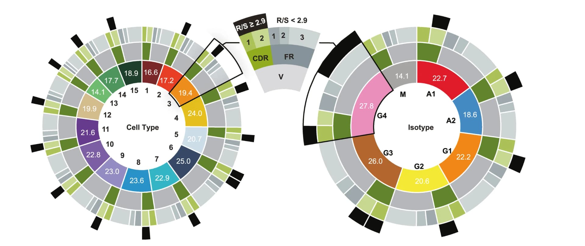 Open access visualization of Pie Chart, Sunburst, Mutation Numbers, scRNA-seq, Cell Populations