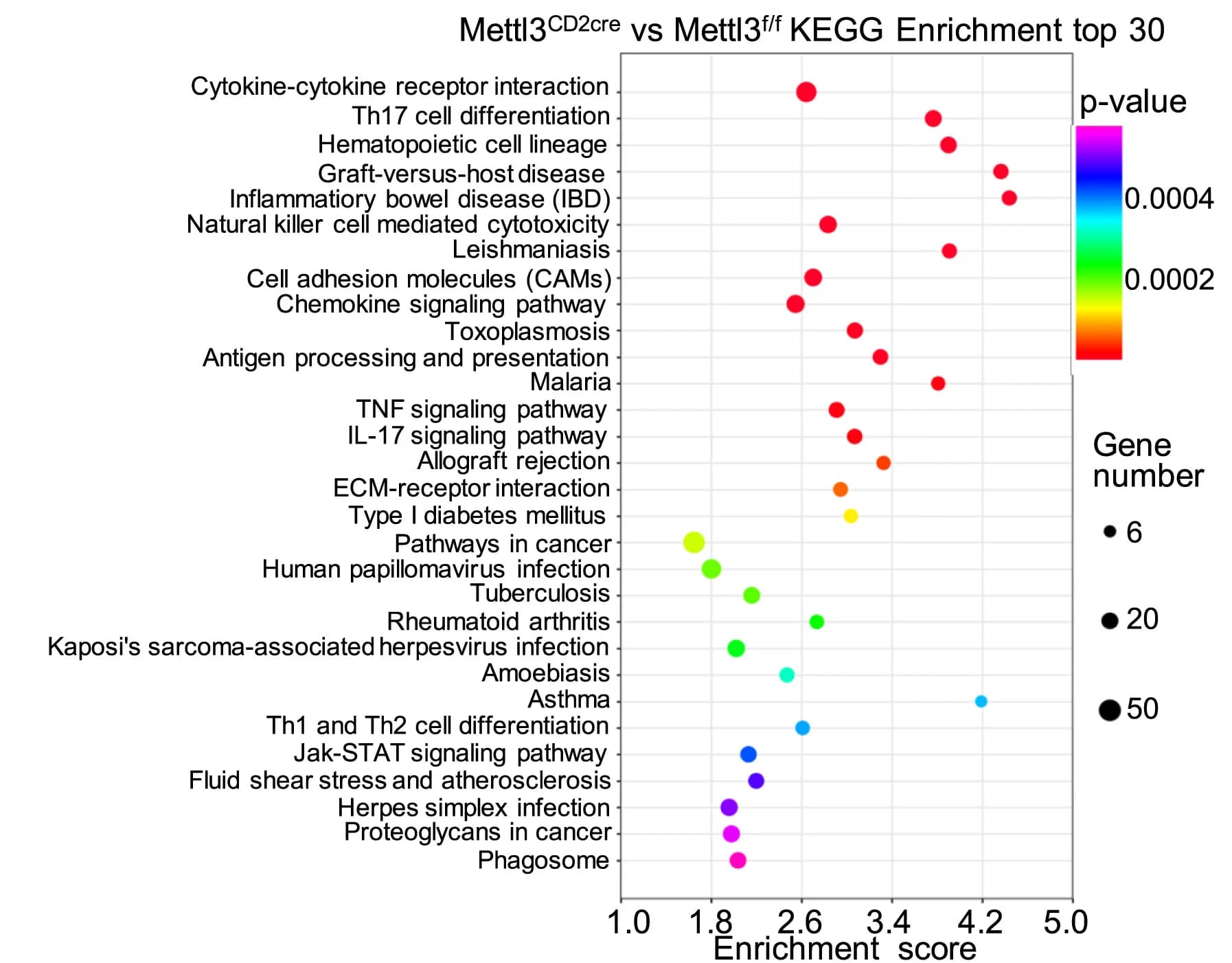 Open access visualization of Scatter Plot, Bubble Plot, Volcano Plot, KEGG Pathways, Differentially Expressed Genes