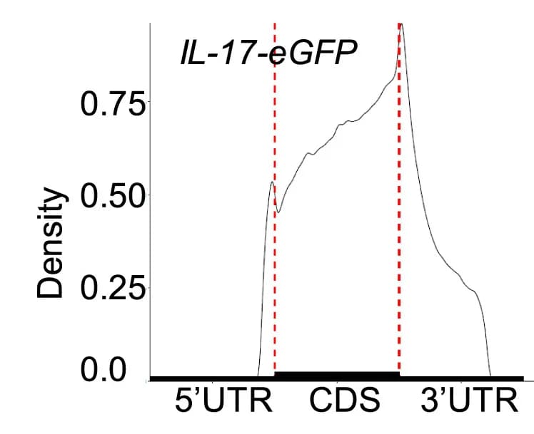 Open access visualization of Density Plot, Metagene Profiles, M6A Sites, Gamma Delta T Cells, MRNA