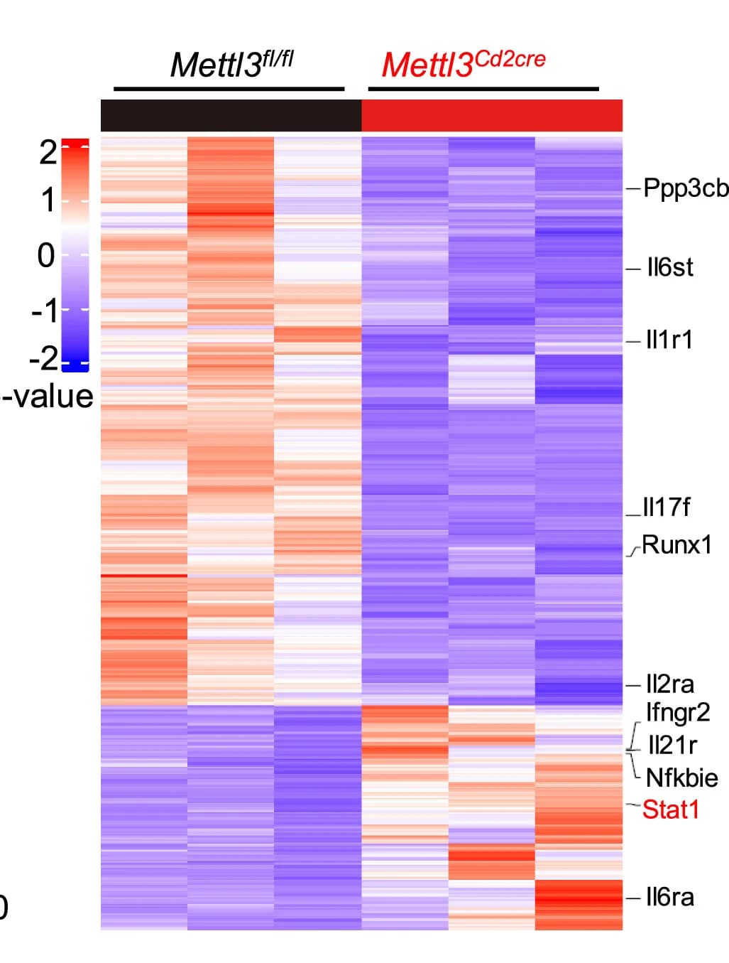 Open access visualization of Heatmap, Differentially Expressed Genes, M6A Modification