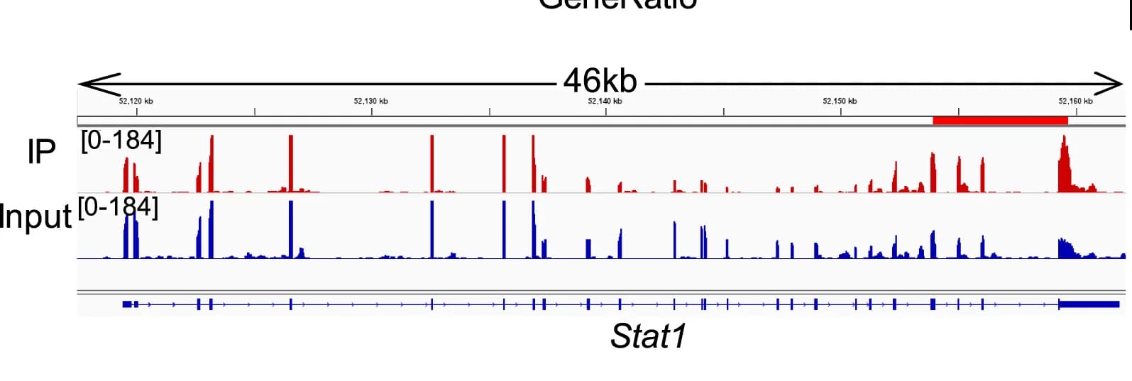 Open access visualization of Line Plot, Integrative Genomics Viewer, M6A-RNA-Seq, Stat1 Gene, Gamma Delta T17 Cells