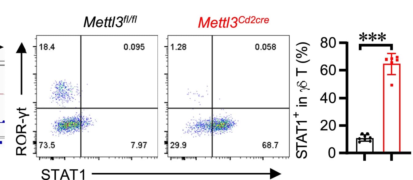Open access visualization of Scatter Plot, Bar Plot, Error Bars, Flow Cytometry, STAT1 Expression