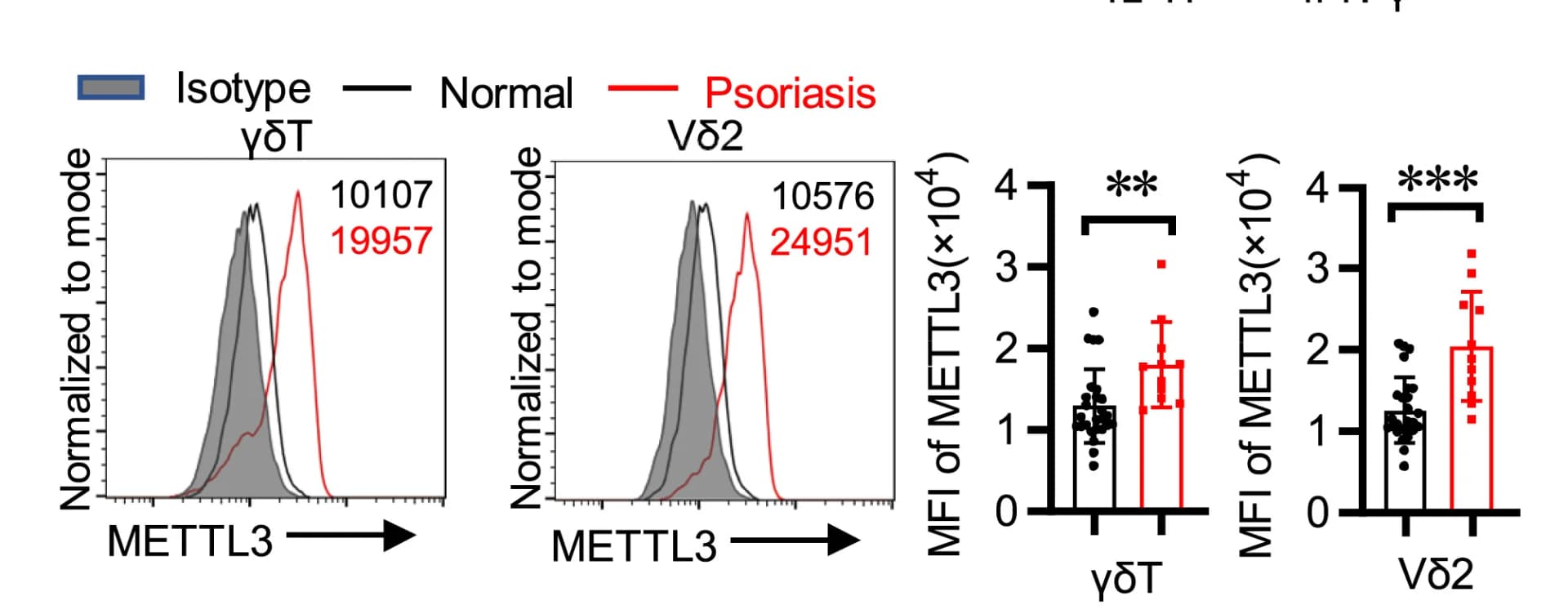 Open access visualization of Histogram, Bar Plot, Error Bars, Cytokines, IL-17 expression