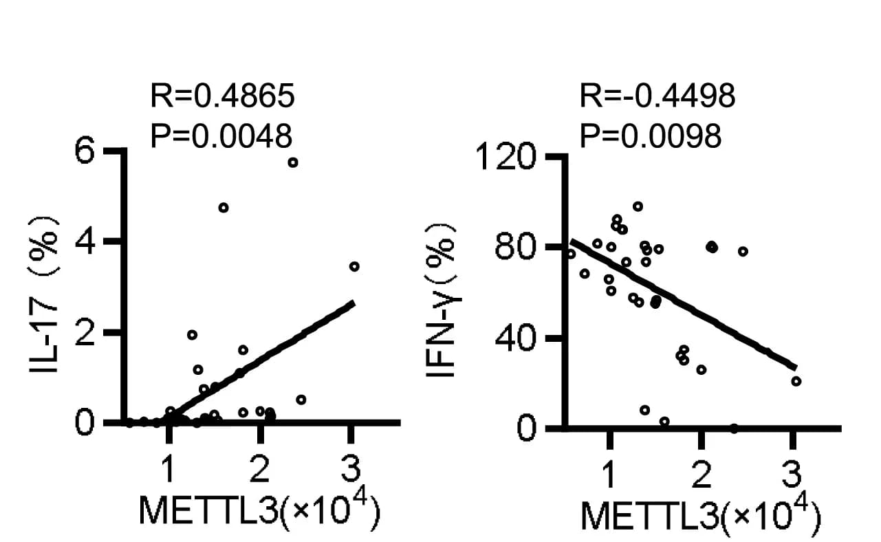 Open access visualization of Scatter Plot, Regression Plot, Cytokines, IL-17 expression, IFN-γ expression