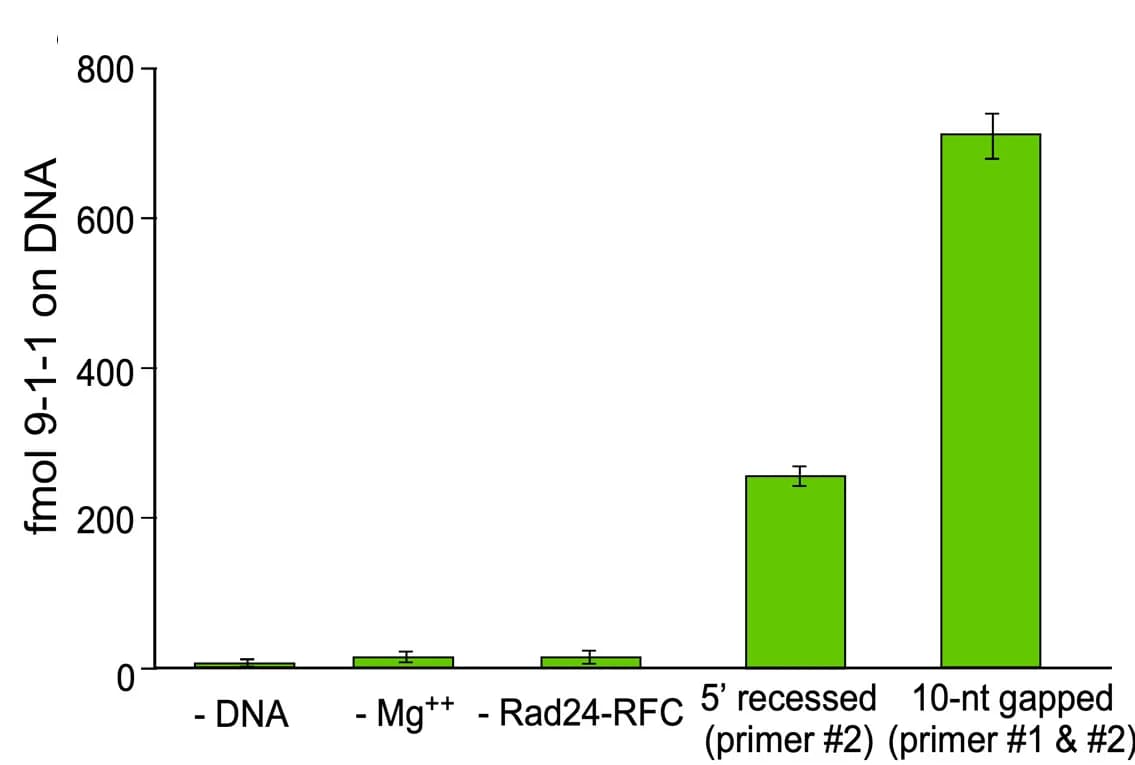 Open access visualization of Bar Plot, Error Bars, 9-1-1 Loading, 5' End, 10-nt Gap