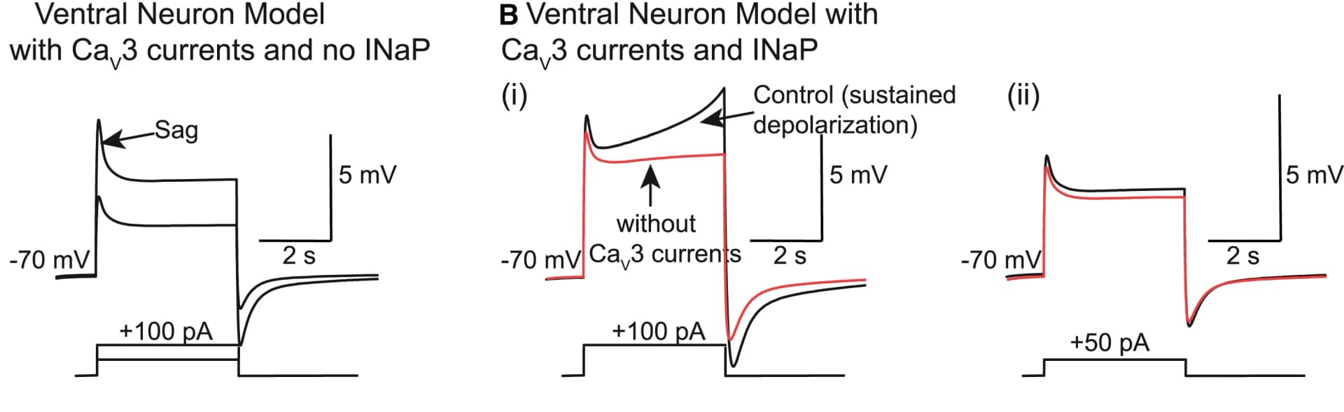 Open access visualization of Line Plot, Line Step, HCN, K+, Transient Na+ Currents