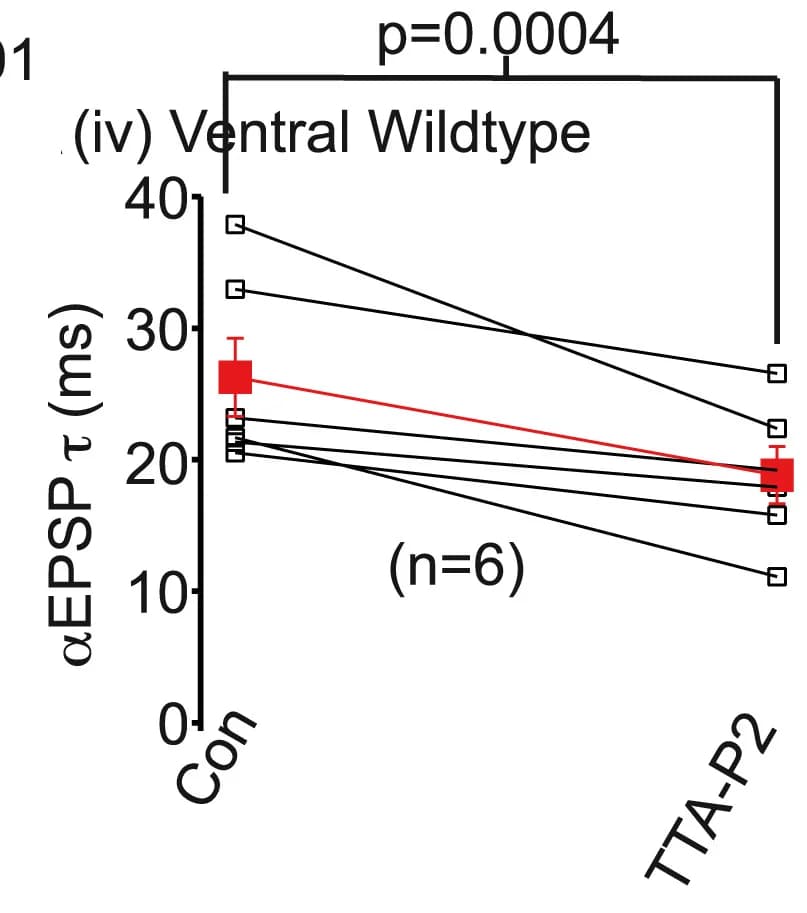 Open access visualization of Line Plot, Error Bars, aEPSP recordings, TTA-P2, Decay time constants