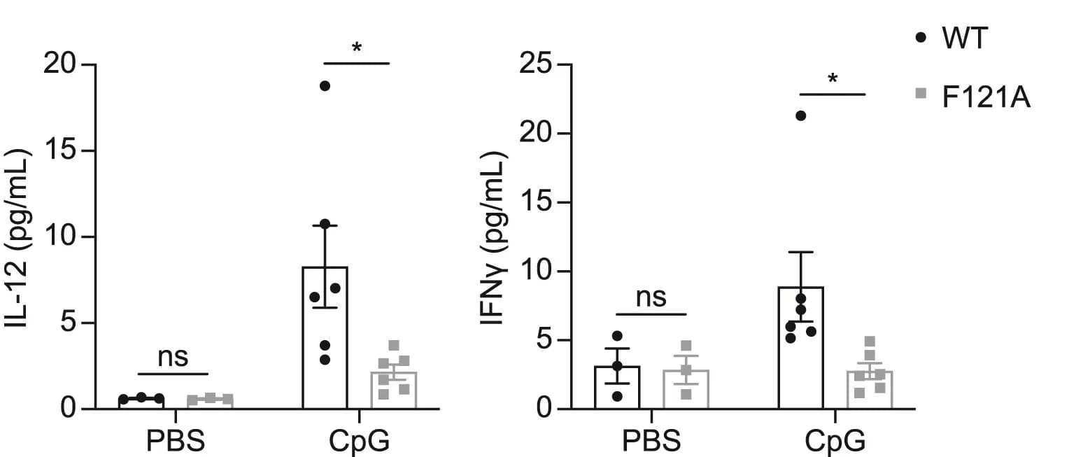 Open access visualization of Bar Plot, Error Bars, Scatter Plot, Serum Cytokines, CpG Treatment
